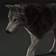 Wolf 2 FUR ANIMATED