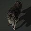 Wolf 2 FUR ANIMATED