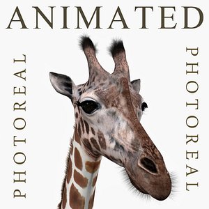 3d realistic giraffe model