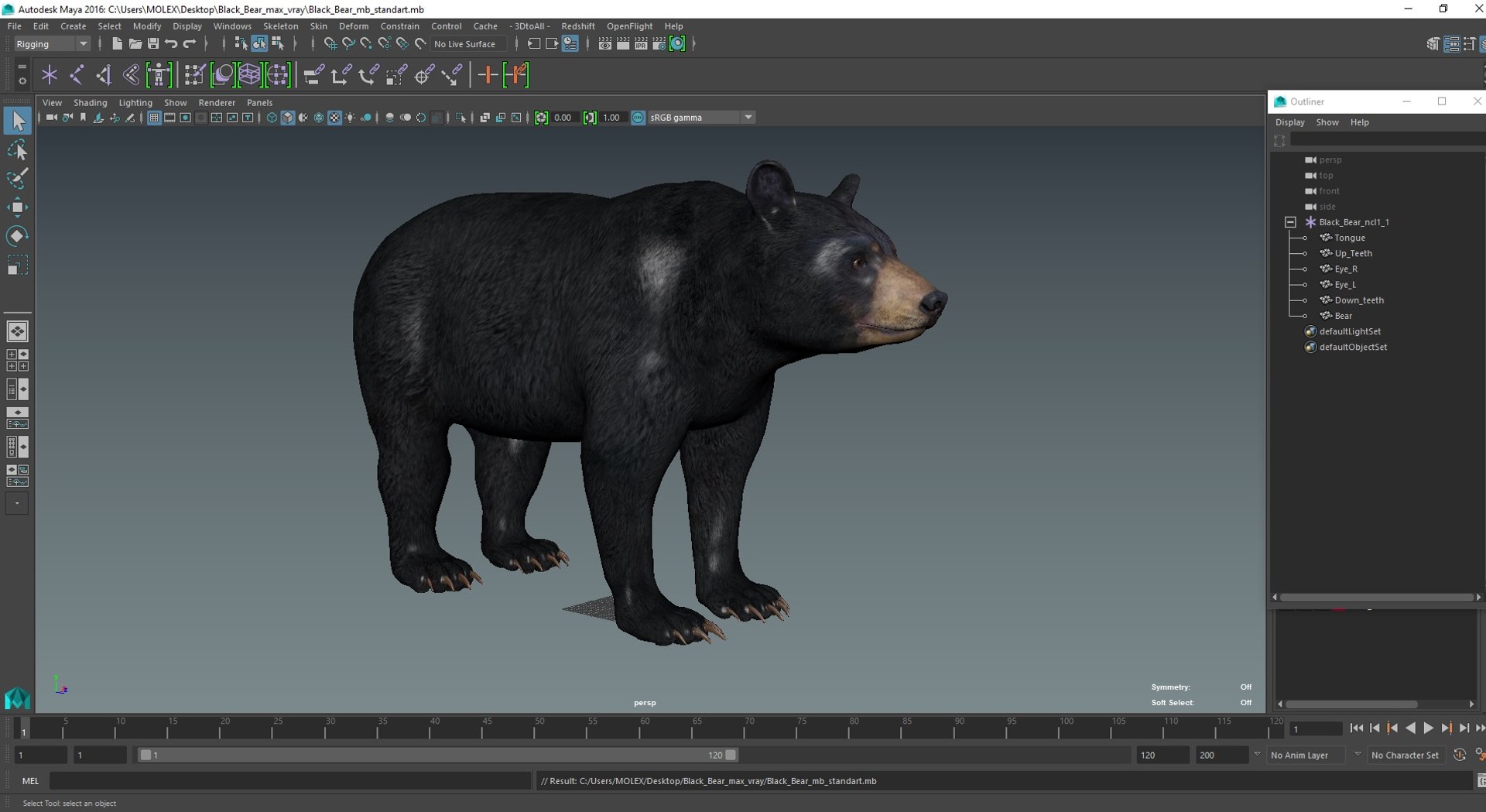 3D model Black Bear https://p.turbosquid.com/ts-thumb/gl/Q52W96/38/blackbearc4dmodel032/jpg/1721006521/1920x1080/fit_q87/5e0eb758a0d7334c96b54add71512974b3934fa9/blackbearc4dmodel032.jpg