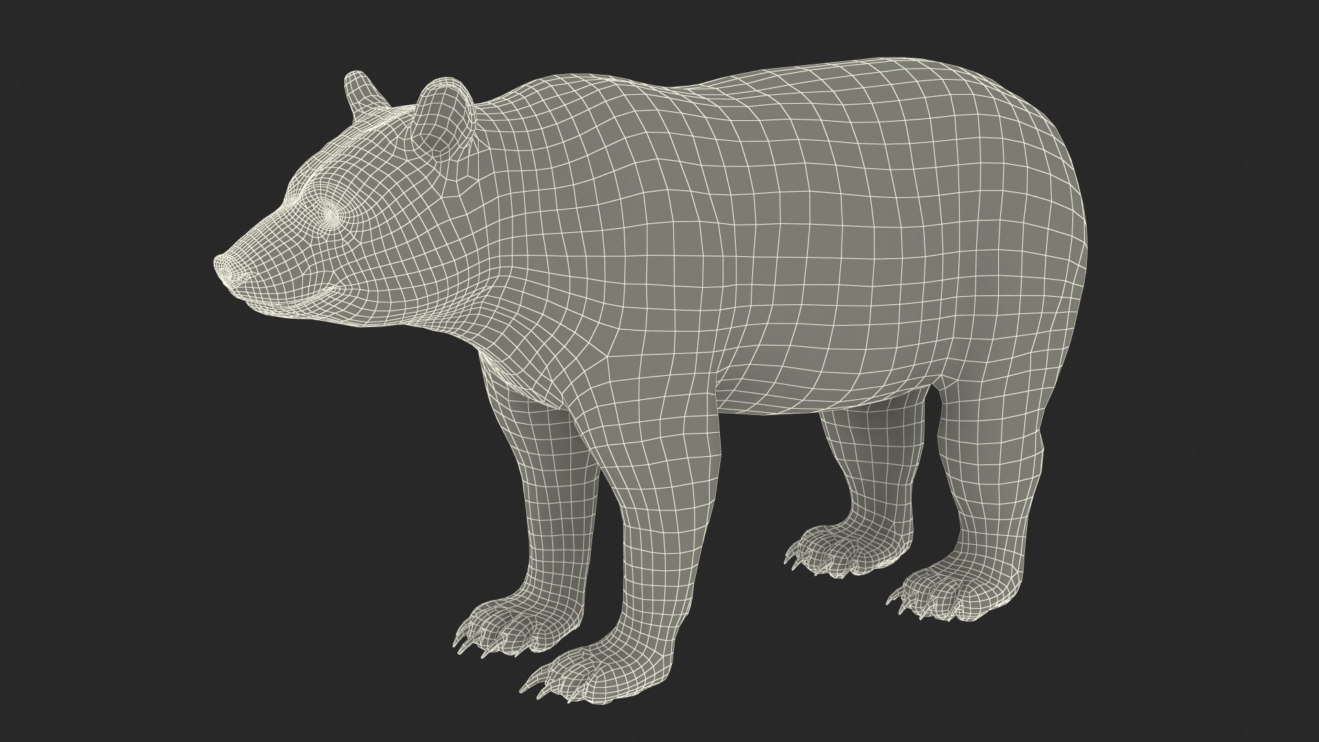 3D model Black Bear https://p.turbosquid.com/ts-thumb/gl/Q52W96/6o/blackbearc4dmodel023/jpg/1721006491/1920x1080/fit_q87/91b47fa57c774010639b458203d7823b2cf0742f/blackbearc4dmodel023.jpg