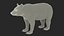 Black Bear