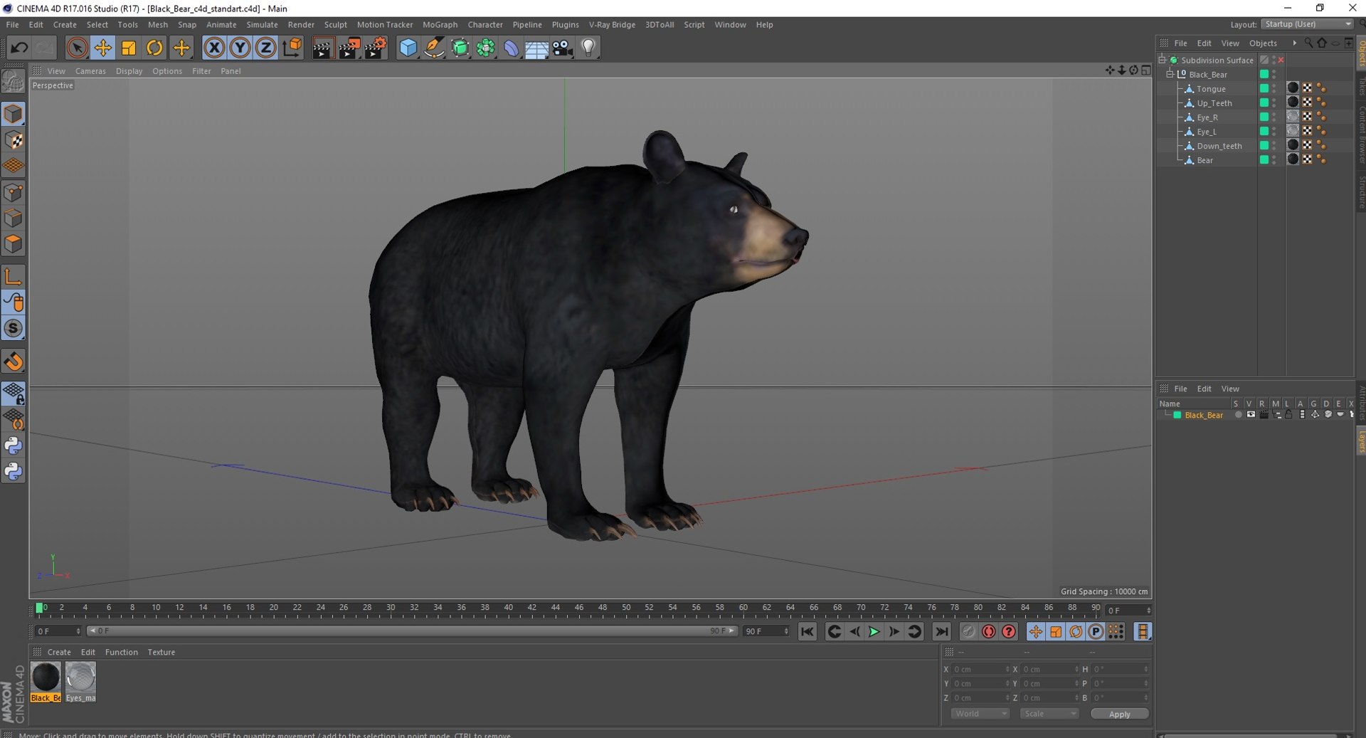 3D model Black Bear https://p.turbosquid.com/ts-thumb/gl/Q52W96/9Y/blackbearc4dmodel031/jpg/1721006518/1920x1080/fit_q87/a7b84f04245c12199e2051cb274f45764c414a98/blackbearc4dmodel031.jpg