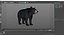 Black Bear