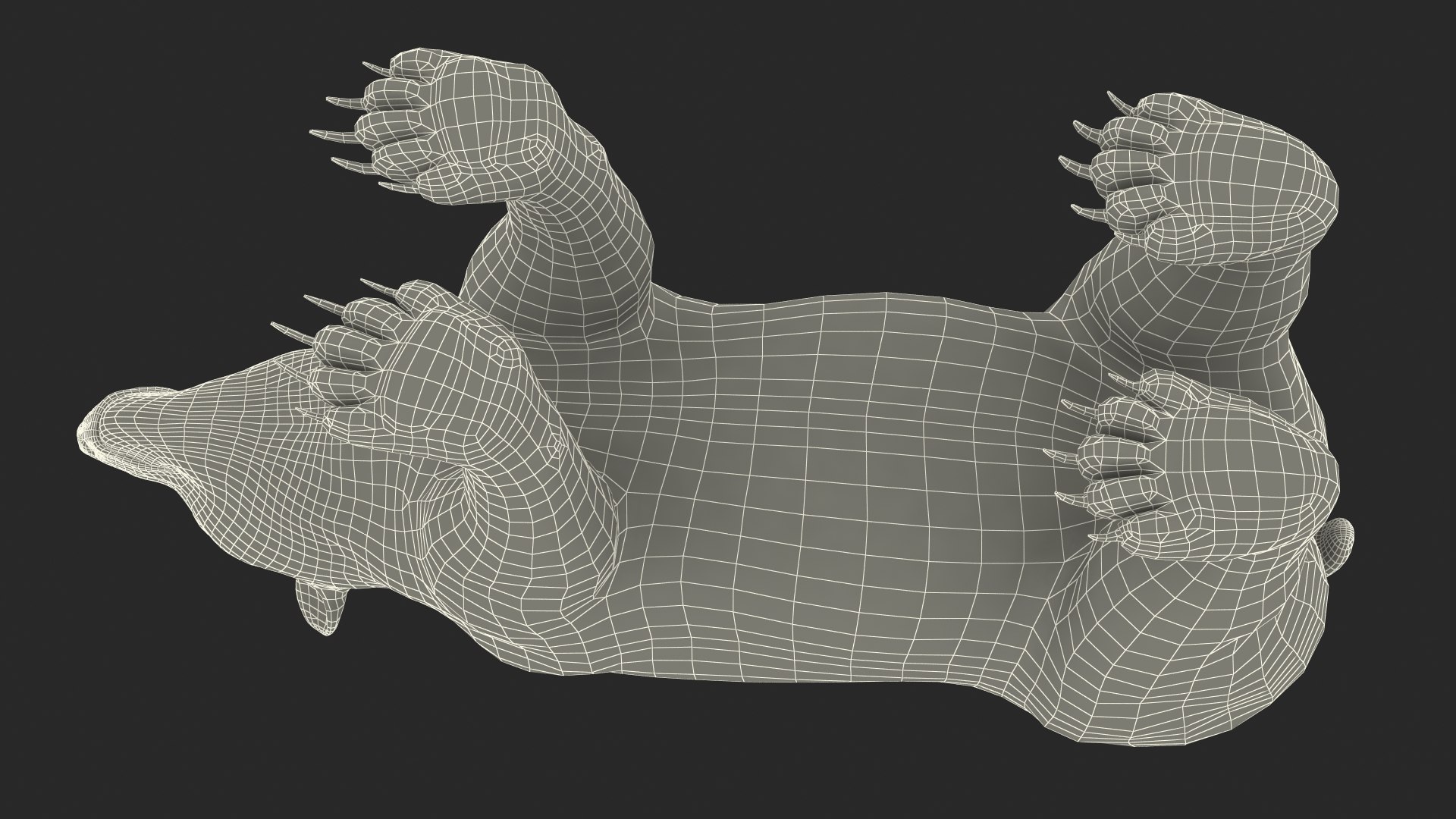 3D model Black Bear https://p.turbosquid.com/ts-thumb/gl/Q52W96/Cz/blackbearc4dmodel026/jpg/1721006502/1920x1080/fit_q87/2916f7a547633d8ed3577de90bfdd34fd001f180/blackbearc4dmodel026.jpg