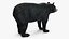 Black Bear