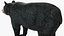 Black Bear