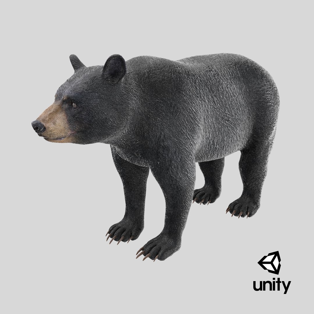 3D model Black Bear https://p.turbosquid.com/ts-thumb/gl/Q52W96/dS/stemcell_unity_render/png/1723106528/1920x1080/fit_q87/3930da09ed9a3fc2b7eef38c83427006a42b97ab/stemcell_unity_render.jpg