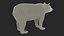 Black Bear