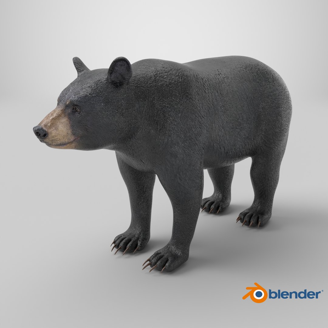 3D model Black Bear https://p.turbosquid.com/ts-thumb/gl/Q52W96/ho/stemcell_blender_cycles_render/png/1723106509/1920x1080/fit_q87/8abfcaf3e5e58bc36f96b442881565a7830ca325/stemcell_blender_cycles_render.jpg