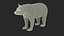 Black Bear