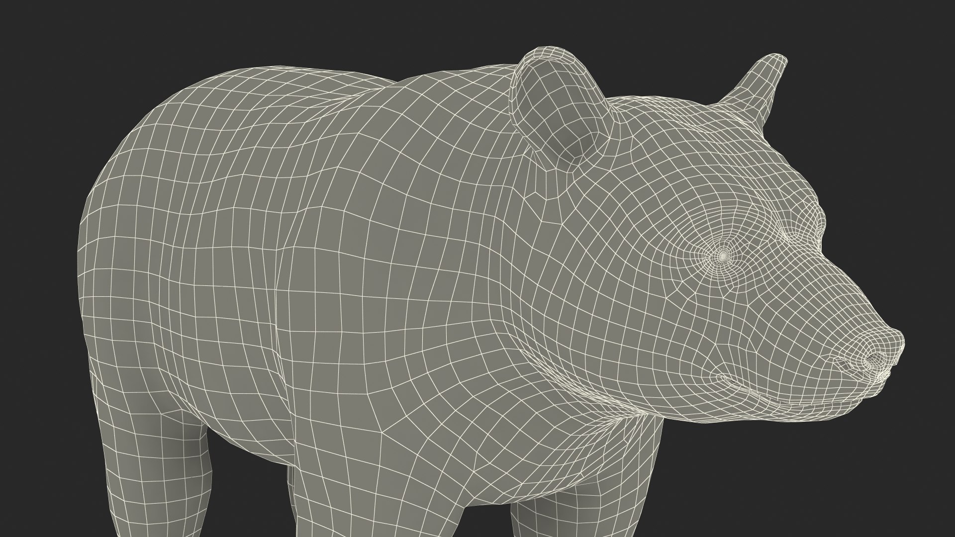 3D model Black Bear https://p.turbosquid.com/ts-thumb/gl/Q52W96/jt/blackbearc4dmodel027/jpg/1721006505/1920x1080/fit_q87/e0639e56b1aafd63c73a5061110f507968fef9e2/blackbearc4dmodel027.jpg