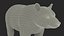 Black Bear