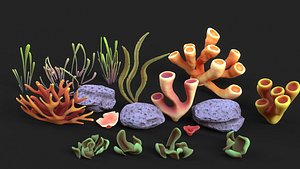 Coral Reef