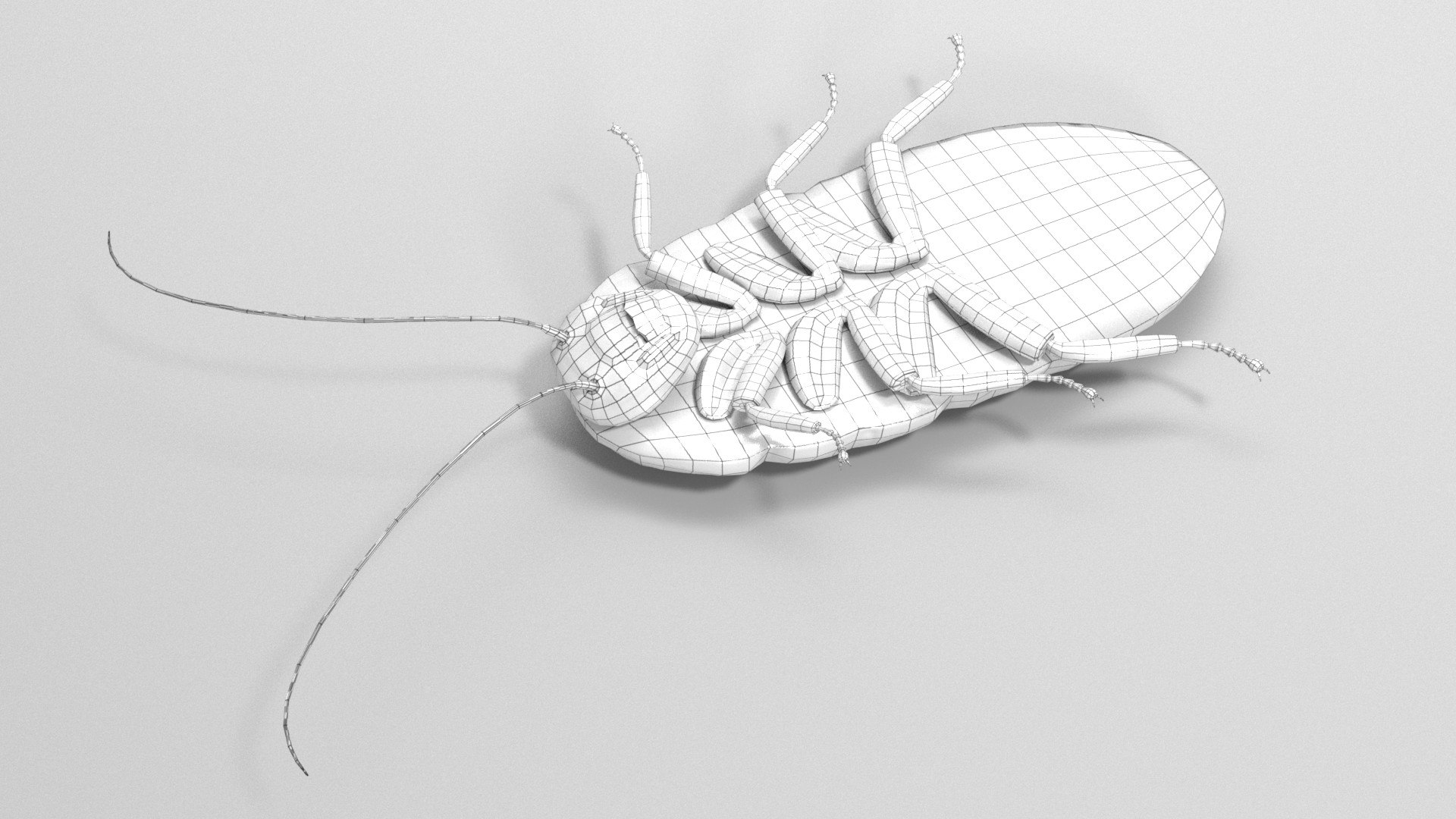 Cockroach 3D model - TurboSquid 1866862
