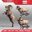 Ram Animated