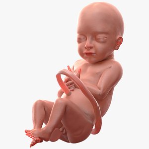 Baby Boy at 28 Weeks