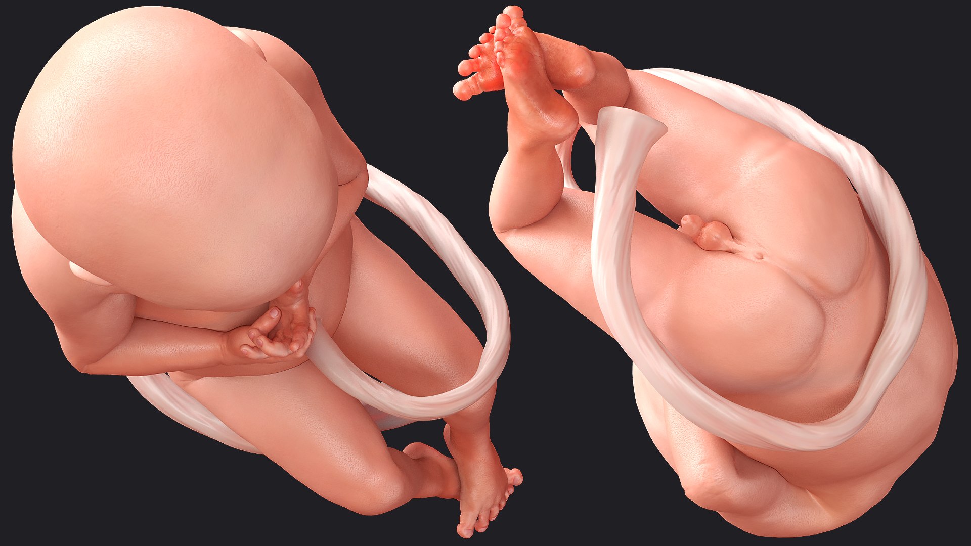 baby boy 28 weeks 3D https://p.turbosquid.com/ts-thumb/gl/jIiSxe/Le9JATV9/babyboyat28weeksmb3dmodel008/jpg/1606792759/1920x1080/fit_q87/5f9c99df0fbd76f3764ff06a5aef1a59d6c43af4/babyboyat28weeksmb3dmodel008.jpg
