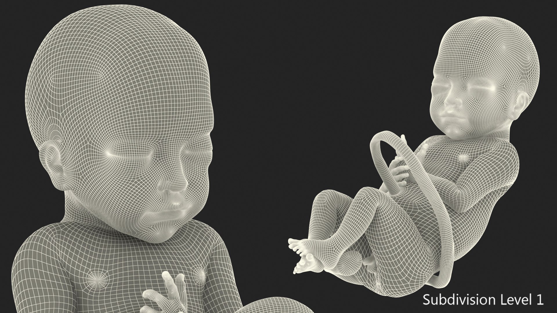 baby boy 28 weeks 3D https://p.turbosquid.com/ts-thumb/gl/jIiSxe/PeRMXO7y/babyboyat28weeksmb3dmodel015/jpg/1606792841/1920x1080/fit_q87/e252ce569116dbd35469951e9ce27696c7feb01a/babyboyat28weeksmb3dmodel015.jpg