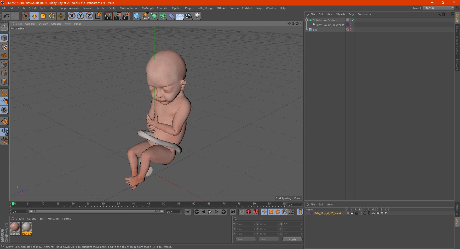 baby boy 28 weeks 3D https://p.turbosquid.com/ts-thumb/gl/jIiSxe/cjZs4Lq0/babyboyat28weeksmb3dmodel020/jpg/1606792900/1920x1080/fit_q87/2e6753d3332642557fcc32e44c3b3aa99ee89b16/babyboyat28weeksmb3dmodel020.jpg