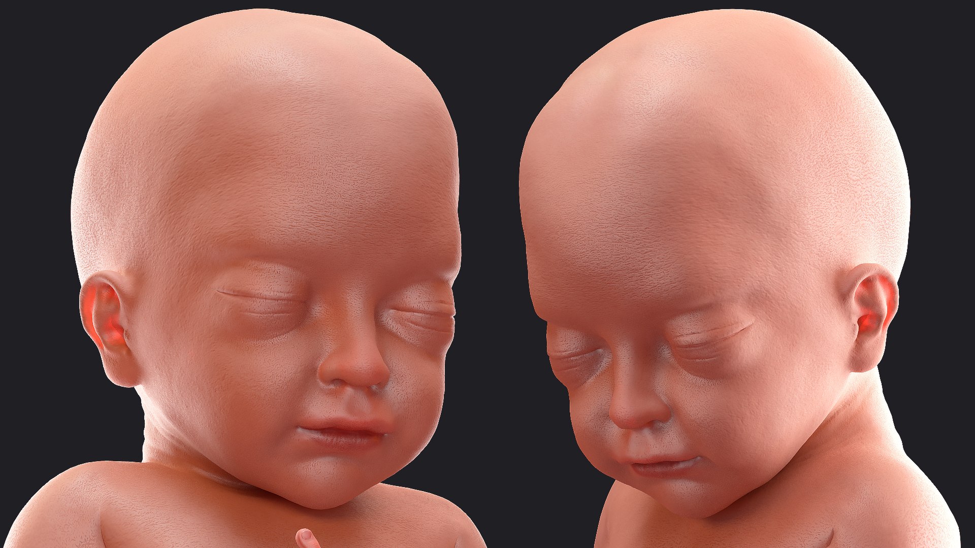 baby boy 28 weeks 3D https://p.turbosquid.com/ts-thumb/gl/jIiSxe/p7jAovBY/babyboyat28weeksmb3dmodel010/jpg/1606792782/1920x1080/fit_q87/363e2bf8e71d5d2329225be00adeda7625ff8f54/babyboyat28weeksmb3dmodel010.jpg