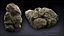 3ds Max Rockクリエーションキット