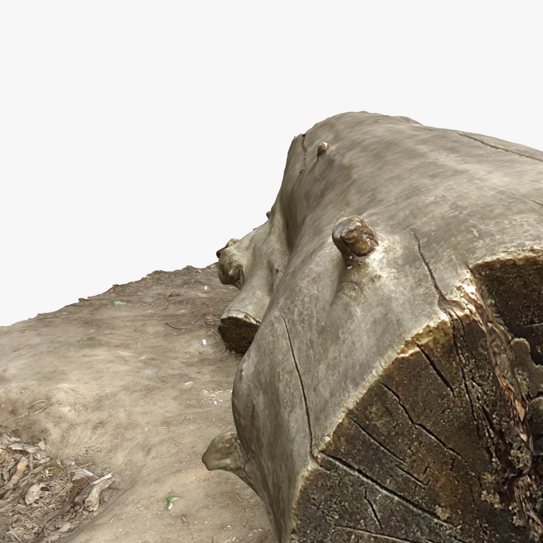 3d Model Tree Log 4