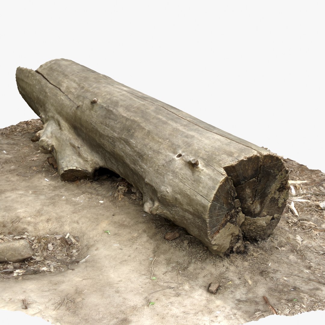 3d model tree log 4
