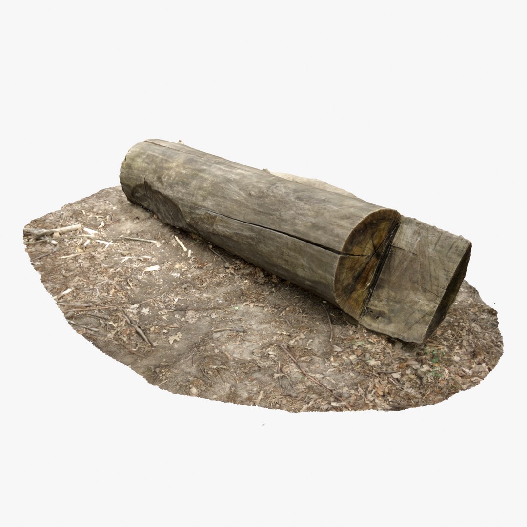 3d Model Tree Log 4
