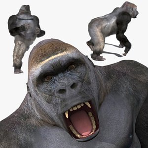 Silverback Gorilla 8K- 3d animated