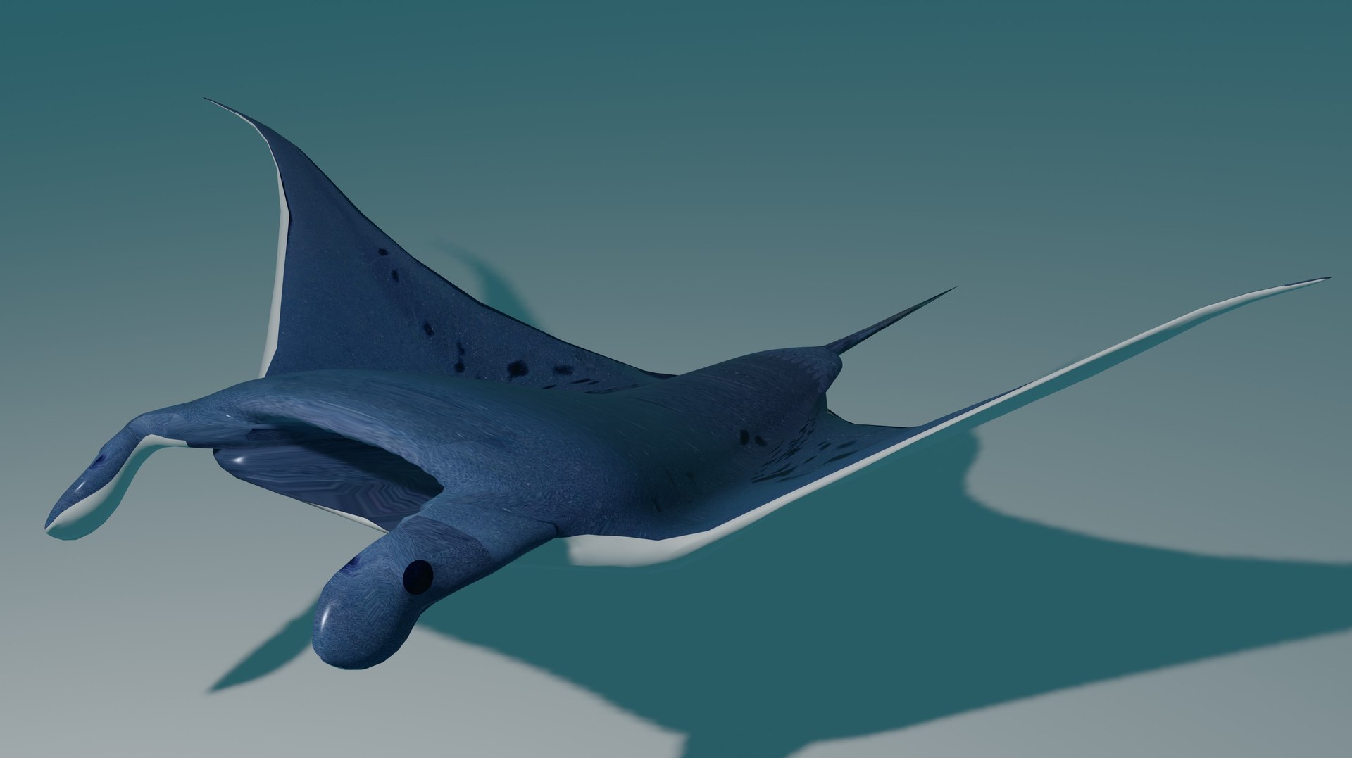 3D model Manta Ray https://p.turbosquid.com/ts-thumb/gm/5Es1iX/Om/2/jpg/1719182706/1920x1080/fit_q87/8793c9c34b3699e97669959552688d2f1406f487/2.jpg