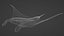 3D model Manta Ray