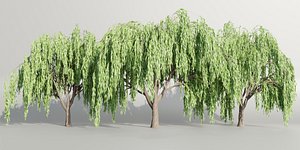 Weeping willow trees collection vol 115-Blender 3D