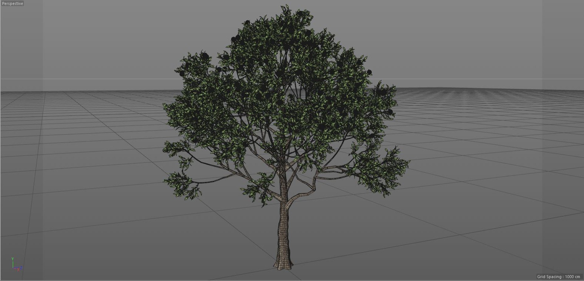 3D apple tree model https://p.turbosquid.com/ts-thumb/gm/9UJv5w/isXvcJ1U/3/jpg/1574303458/1920x1080/fit_q87/33c760f19af030dc6bcedbb65e86e710fb60c6a6/3.jpg