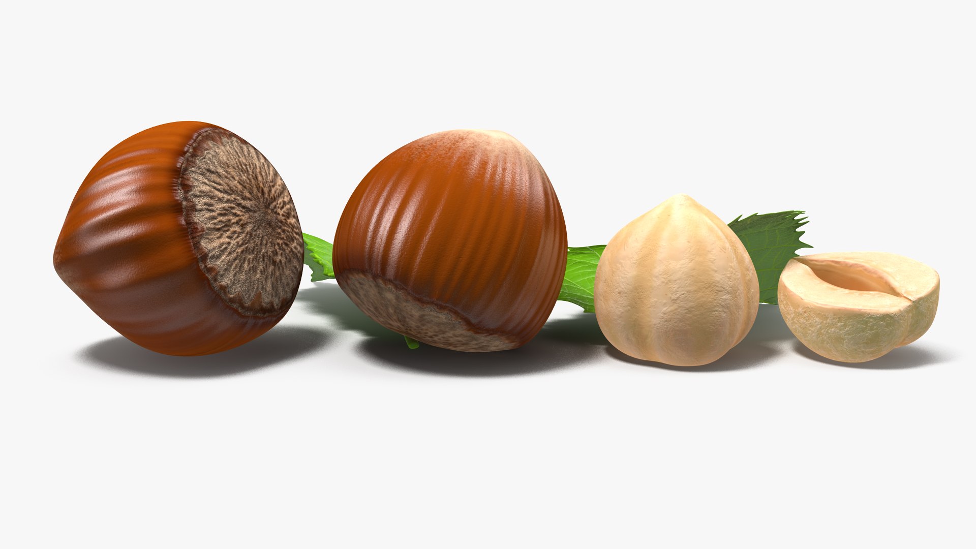 3D Opened Nuts Collection https://p.turbosquid.com/ts-thumb/gm/CyWuJj/05/openednutscollectionmb3dmodel023/jpg/1625234257/1920x1080/fit_q87/b296ebf1366473d712168a0ff9462b56d87ca18d/openednutscollectionmb3dmodel023.jpg