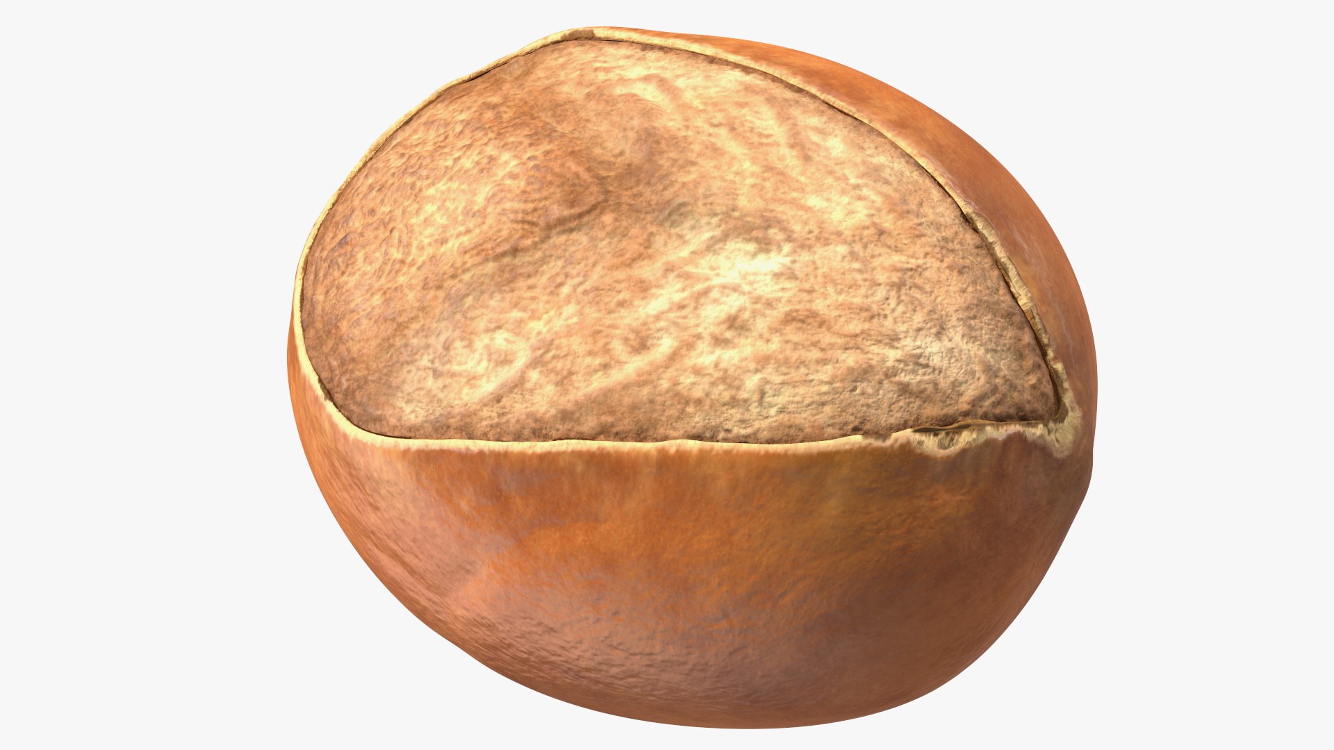 3D Opened Nuts Collection https://p.turbosquid.com/ts-thumb/gm/CyWuJj/09/openednutscollectionmb3dmodel015/jpg/1625234240/1920x1080/fit_q87/33a27caa3cac0cba3dc9ae4188d739bbb745cf1f/openednutscollectionmb3dmodel015.jpg
