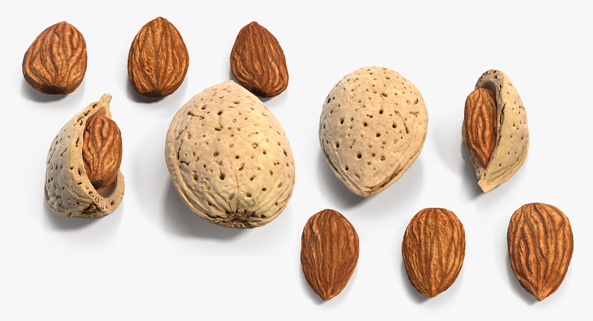 3D Opened Nuts Collection https://p.turbosquid.com/ts-thumb/gm/CyWuJj/9R/openednutscollectionmb3dmodel039/jpg/1625234295/1920x1080/fit_q87/b44148ca2330cded3293c3b2b80521d86061109b/openednutscollectionmb3dmodel039.jpg
