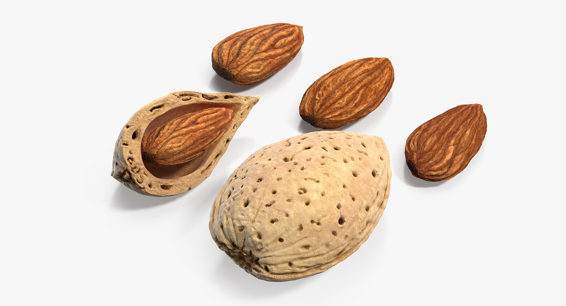 3D Opened Nuts Collection https://p.turbosquid.com/ts-thumb/gm/CyWuJj/CD/openednutscollectionmb3dmodel035/jpg/1625234285/1920x1080/fit_q87/f34ee26e303b7f8a53274978564d0bad09130aef/openednutscollectionmb3dmodel035.jpg