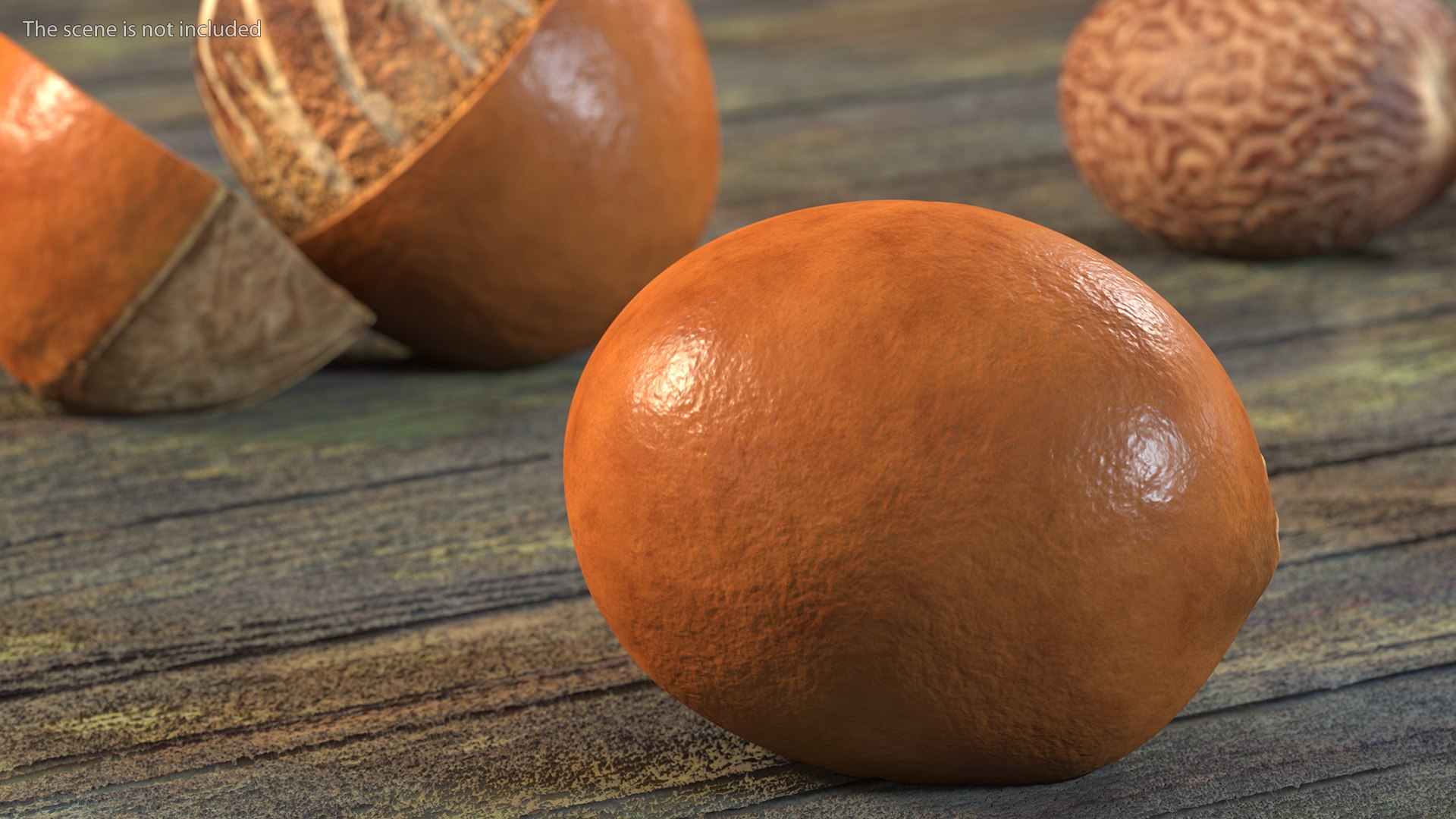 3D Opened Nuts Collection https://p.turbosquid.com/ts-thumb/gm/CyWuJj/IB/openednutscollectionmb3dmodel009/jpg/1625234225/1920x1080/fit_q87/4db1fe29ebc242fd1c0fdaee423cc641fd697dd6/openednutscollectionmb3dmodel009.jpg