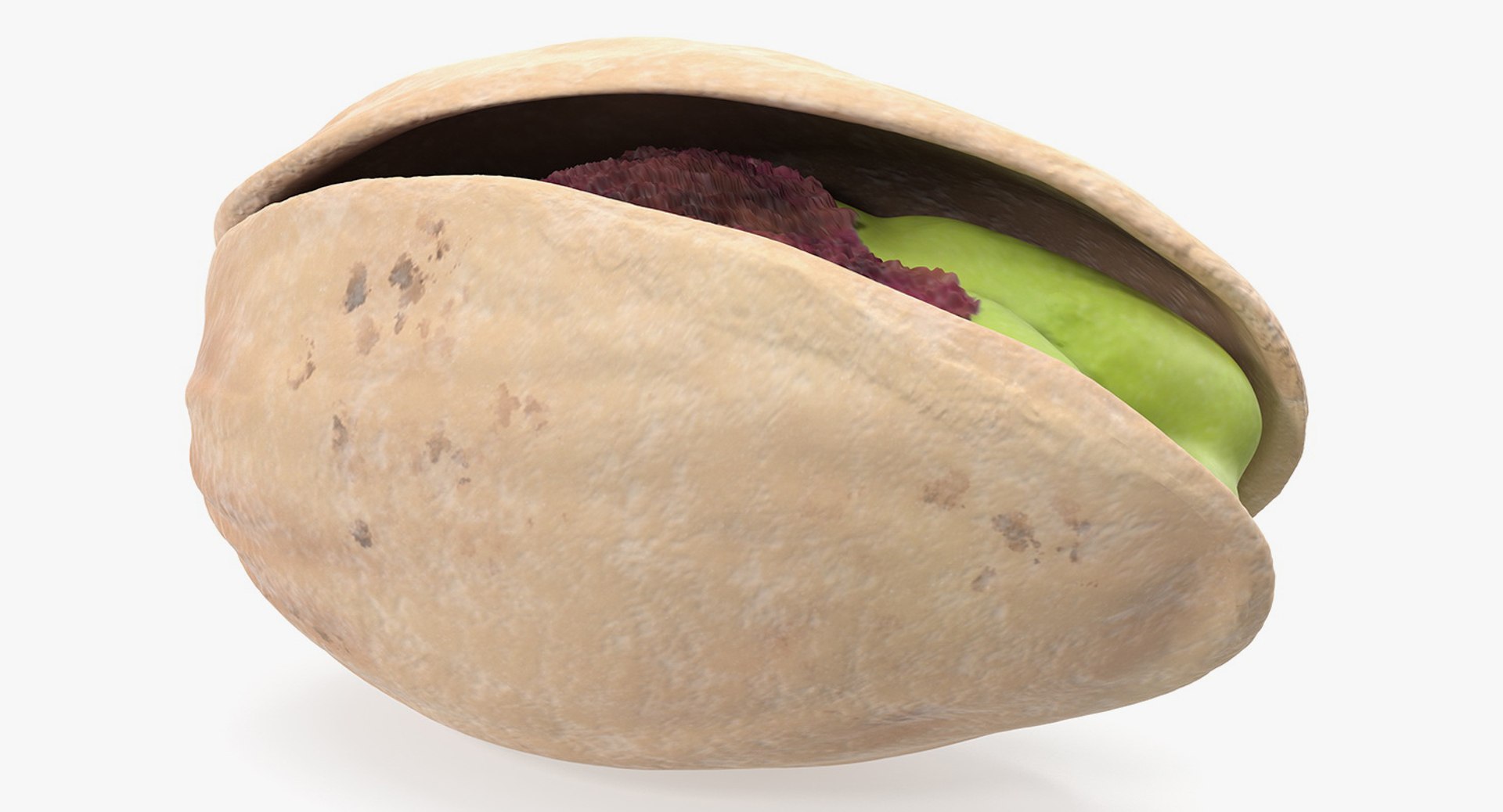 3D Opened Nuts Collection https://p.turbosquid.com/ts-thumb/gm/CyWuJj/Ia/openednutscollectionmb3dmodel030/jpg/1625234273/1920x1080/fit_q87/f109a9f17adc1613368fc845ca96bae409171be7/openednutscollectionmb3dmodel030.jpg