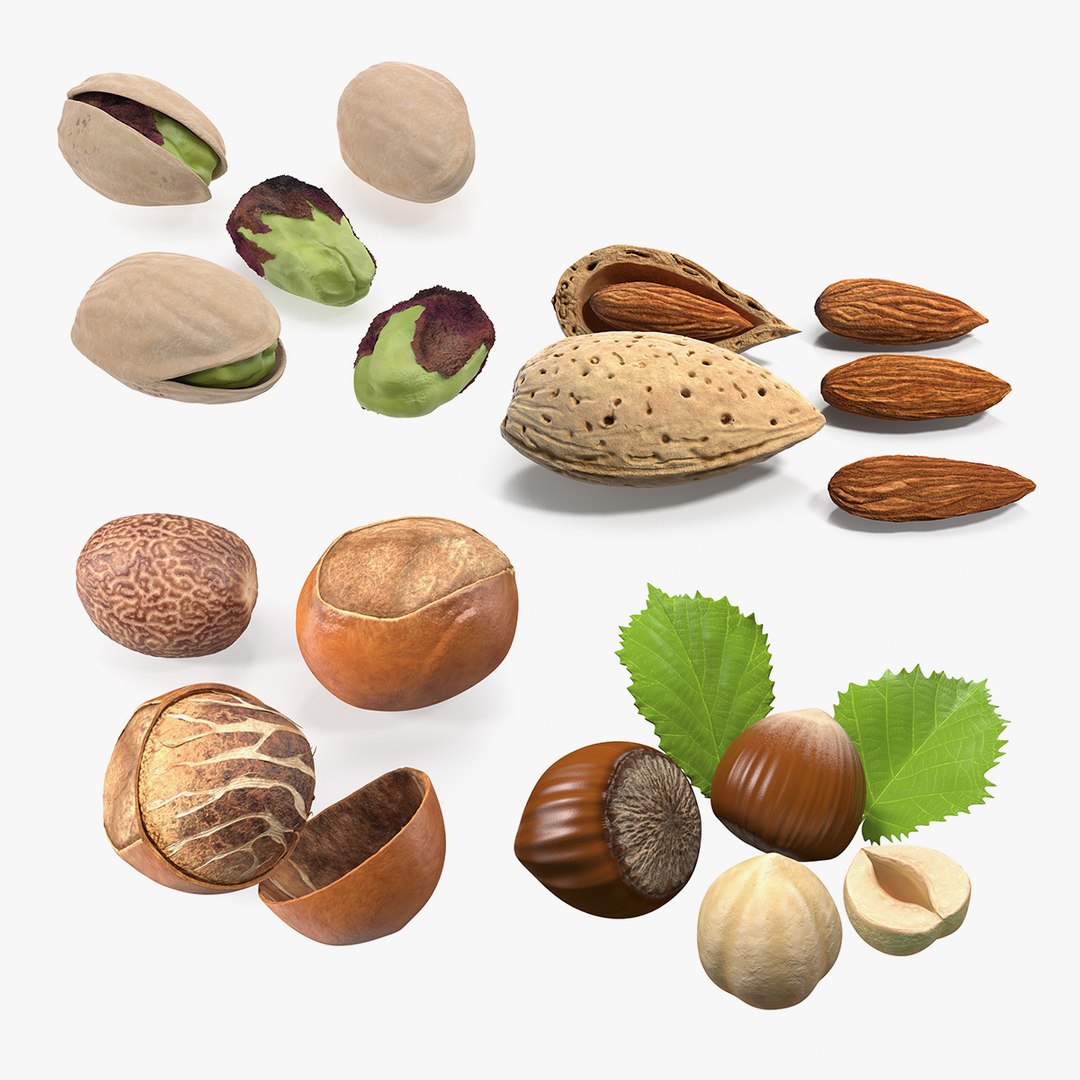 Opened Nuts Collection 3D model preview
