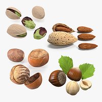 Opened Nuts Collection