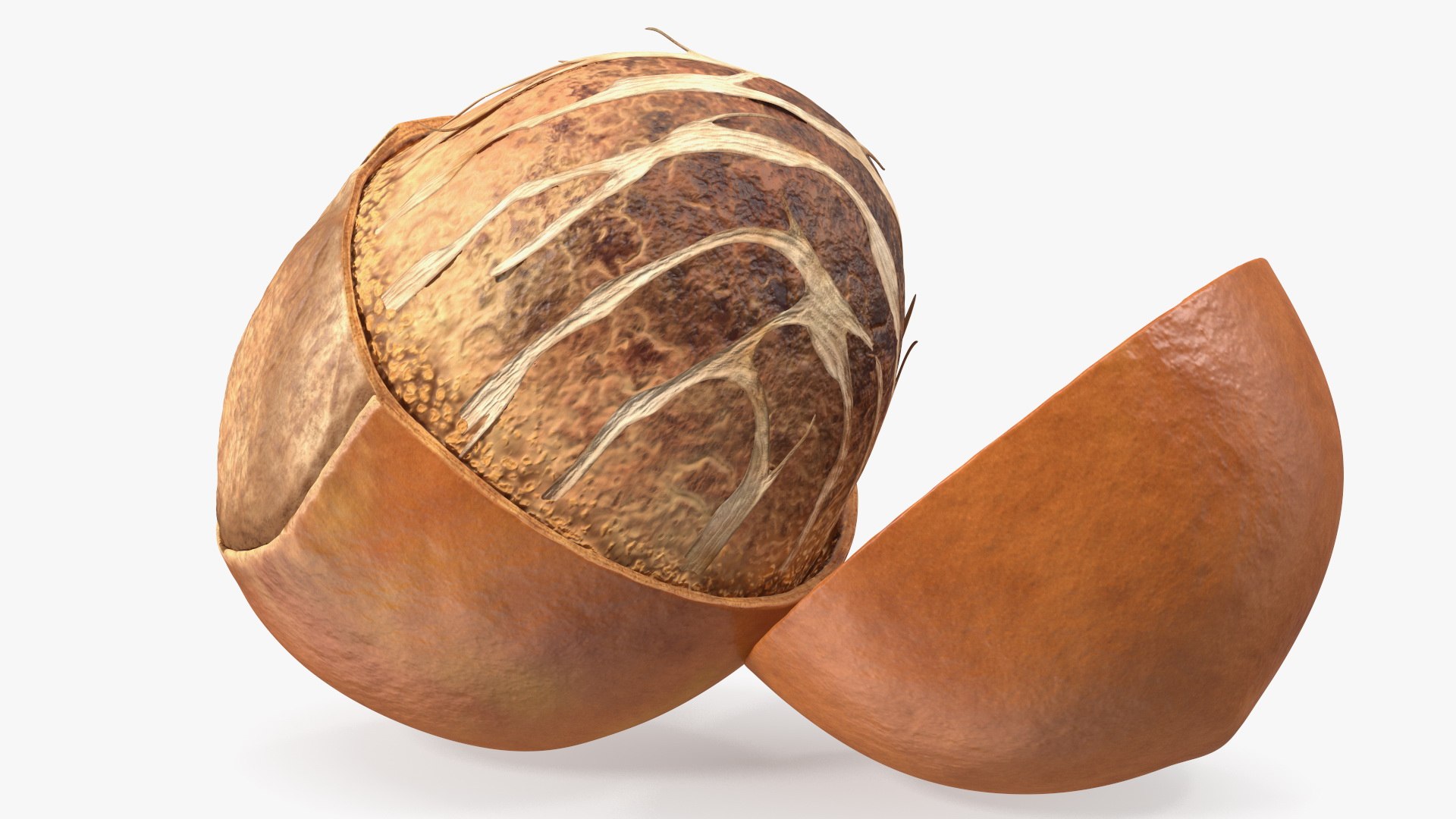 3D Opened Nuts Collection https://p.turbosquid.com/ts-thumb/gm/CyWuJj/OA/openednutscollectionmb3dmodel002/jpg/1625234209/1920x1080/fit_q87/a4eecbad39ffd446766333403dd46780f16fd88d/openednutscollectionmb3dmodel002.jpg