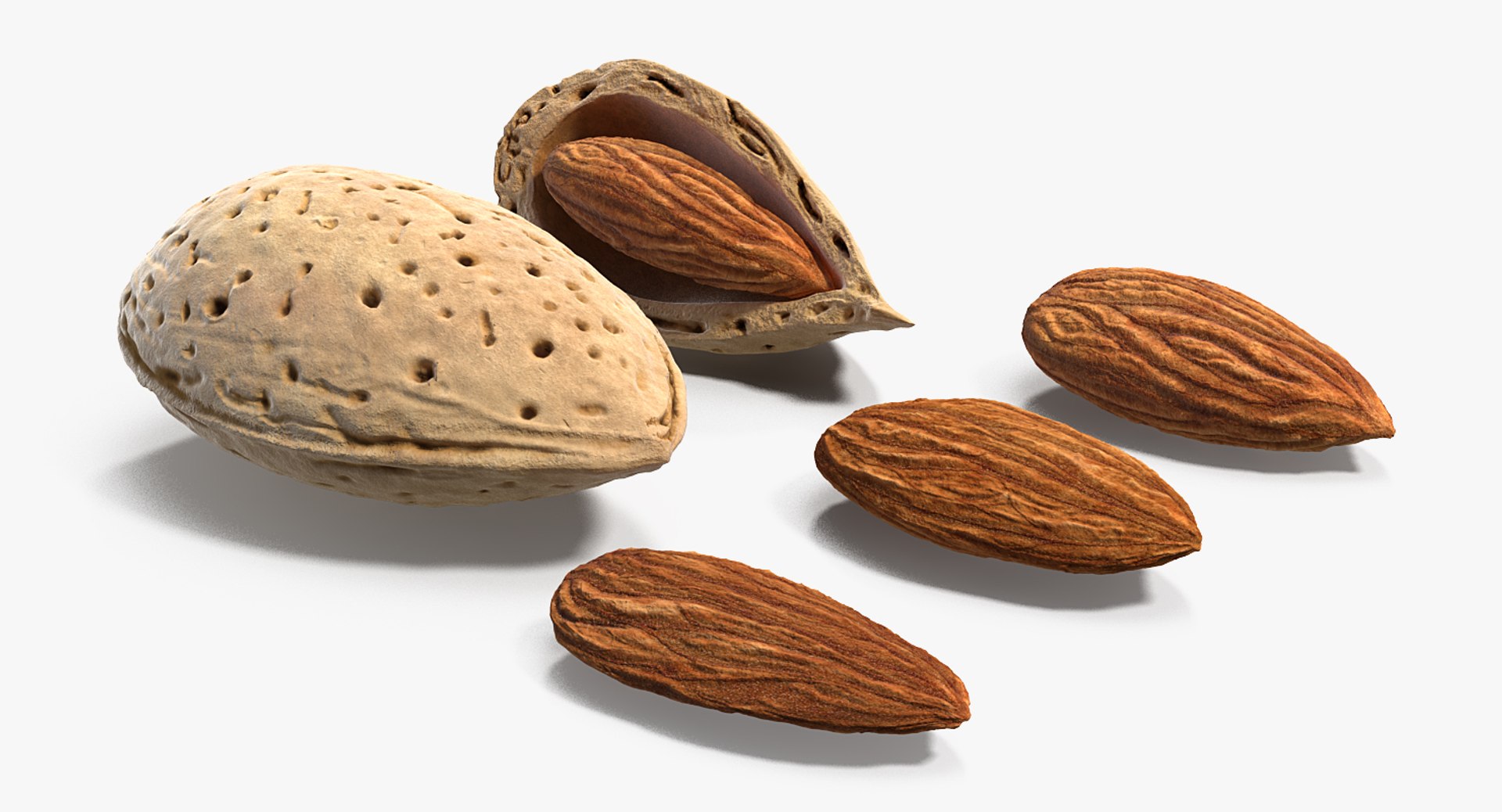 3D Opened Nuts Collection https://p.turbosquid.com/ts-thumb/gm/CyWuJj/Rv/openednutscollectionmb3dmodel037/jpg/1625234290/1920x1080/fit_q87/1948314bccd307c4edef7439d4297e001f93b80e/openednutscollectionmb3dmodel037.jpg
