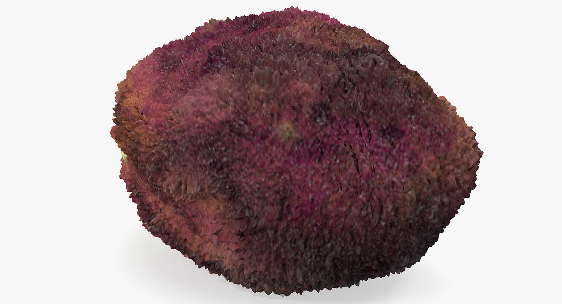 3D Opened Nuts Collection https://p.turbosquid.com/ts-thumb/gm/CyWuJj/q9/openednutscollectionmb3dmodel034/jpg/1625234283/1920x1080/fit_q87/34386a49d46a85d208ddef77ebda66e4556b60c3/openednutscollectionmb3dmodel034.jpg