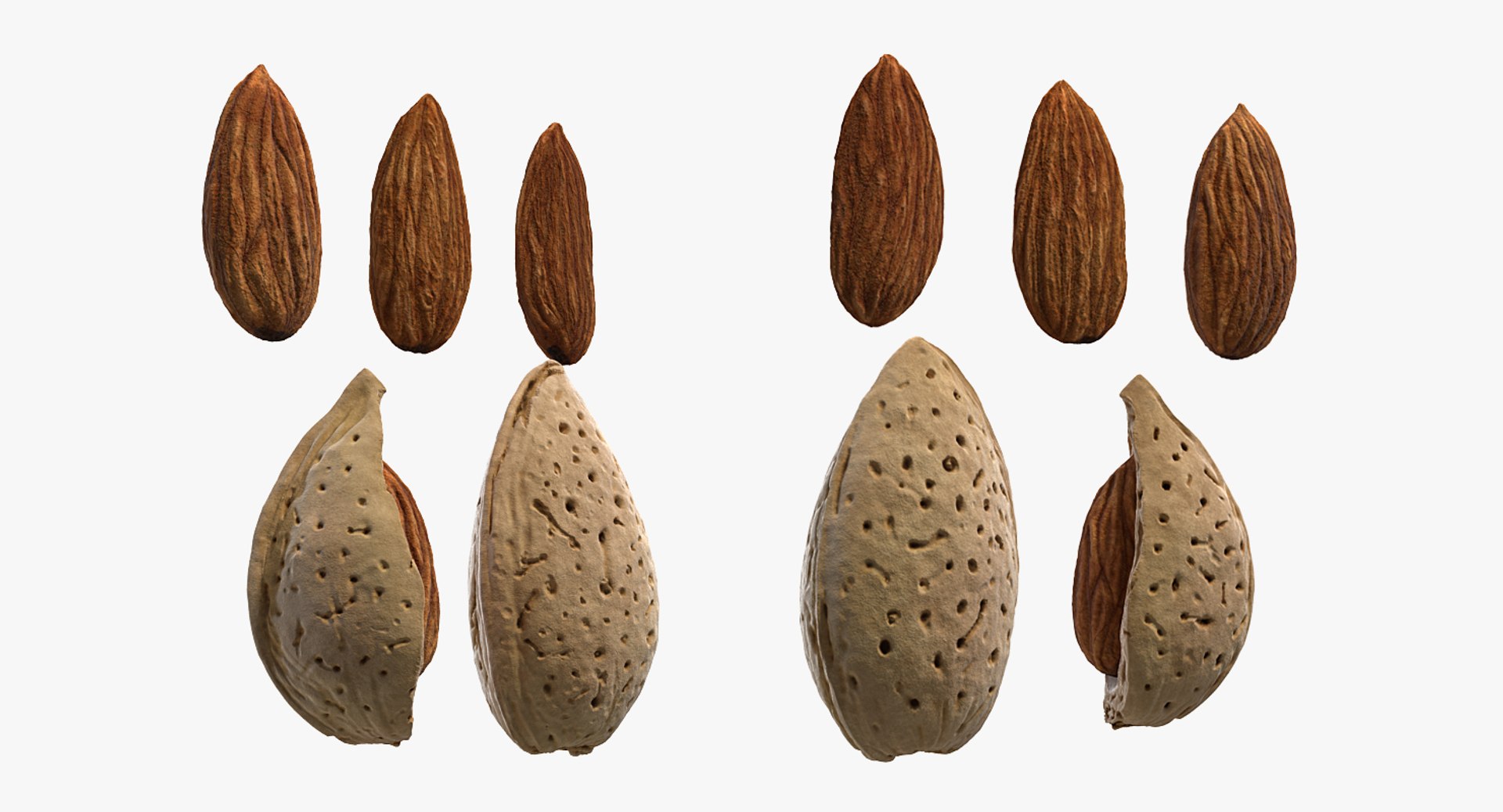 3D Opened Nuts Collection https://p.turbosquid.com/ts-thumb/gm/CyWuJj/rL/openednutscollectionmb3dmodel040/jpg/1625234298/1920x1080/fit_q87/a64b60145437314637671ac43ecb8ae956ac2ddb/openednutscollectionmb3dmodel040.jpg
