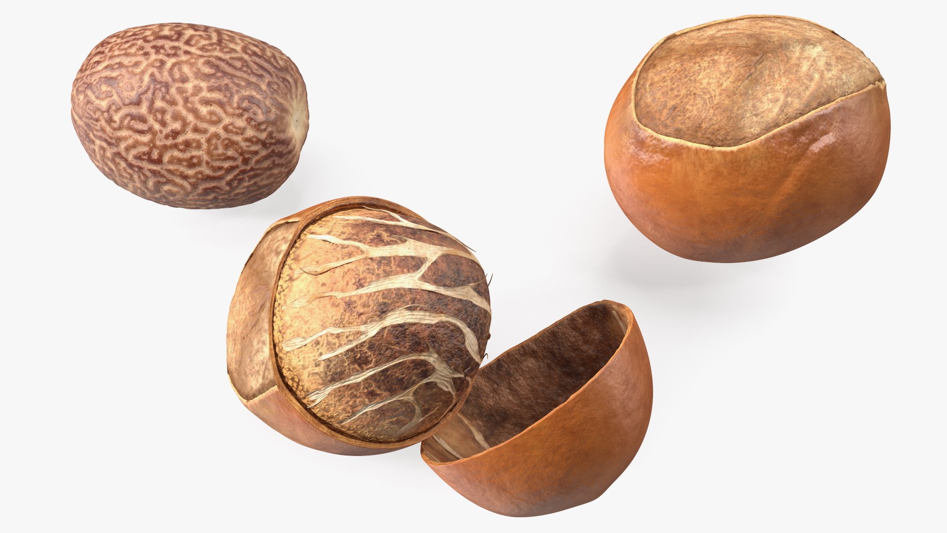 3D Opened Nuts Collection https://p.turbosquid.com/ts-thumb/gm/CyWuJj/sd/openednutscollectionmb3dmodel014/jpg/1625234238/1920x1080/fit_q87/3a20a3f58cb324dd9baa6bb93c24c124714d94d6/openednutscollectionmb3dmodel014.jpg