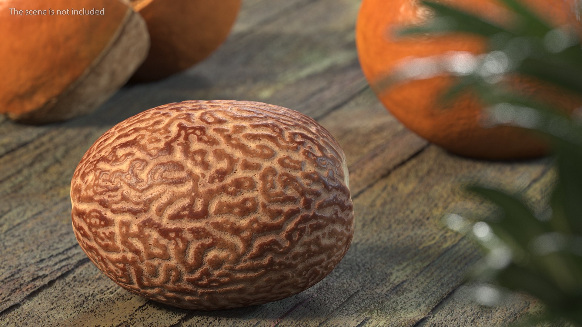 3D Opened Nuts Collection https://p.turbosquid.com/ts-thumb/gm/CyWuJj/z0/openednutscollectionmb3dmodel010/jpg/1625234227/1920x1080/fit_q87/8b9b567e69a5b668ae3b355b0c4f632c86a2107d/openednutscollectionmb3dmodel010.jpg