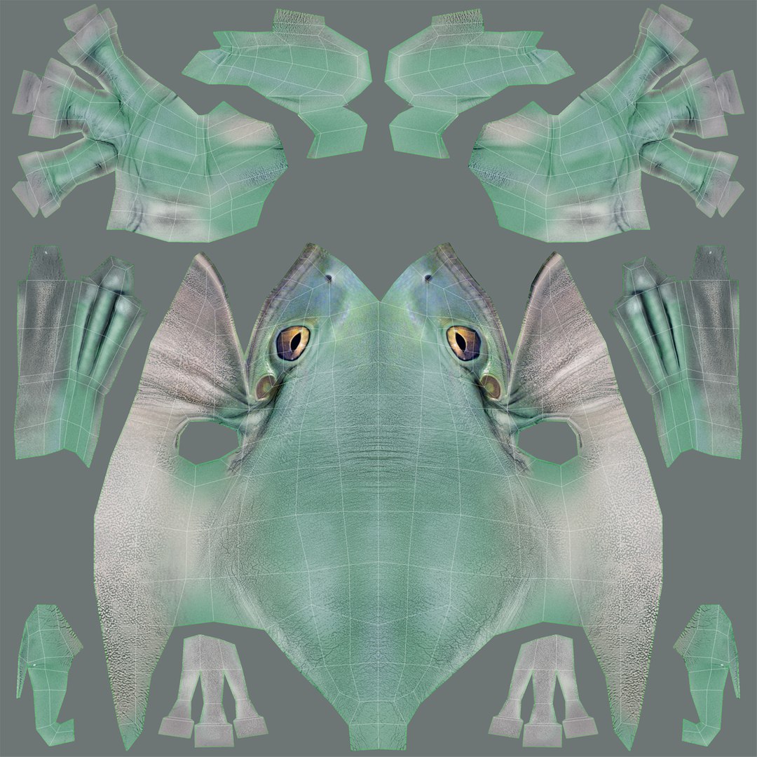 litoria caerulea green tree frog 3d model https://p.turbosquid.com/ts-thumb/gm/LbWj9c/74QJhWUe/litoria_caerulea_001/jpg/1356042828/1920x1080/fit_q87/c1f8b195927b726f3b47c4c94791573c0e3b6a0f/litoria_caerulea_001.jpg