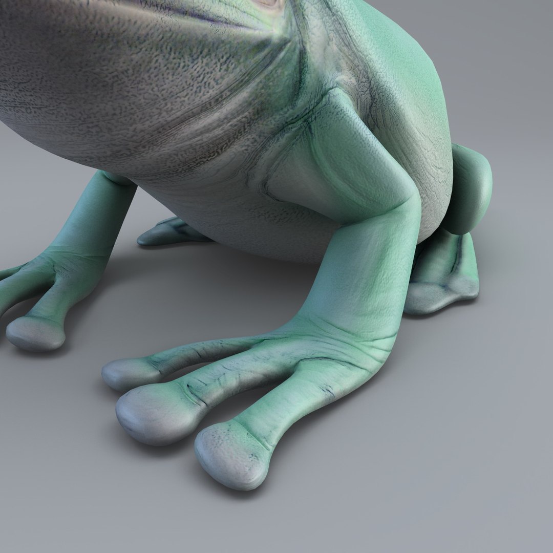 litoria caerulea green tree frog 3d model https://p.turbosquid.com/ts-thumb/gm/LbWj9c/LomrhMOu/litoria_caerulea_010/jpg/1356042866/1920x1080/fit_q87/dc2f86bbd30cbd6f4f426a7658882c303f092981/litoria_caerulea_010.jpg